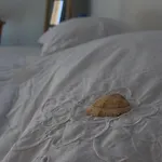 Kalura Alojamento de Acomodação e Pequeno-almoço Pozzallo