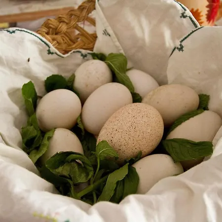 Kalura Bed & Breakfast Pozzallo